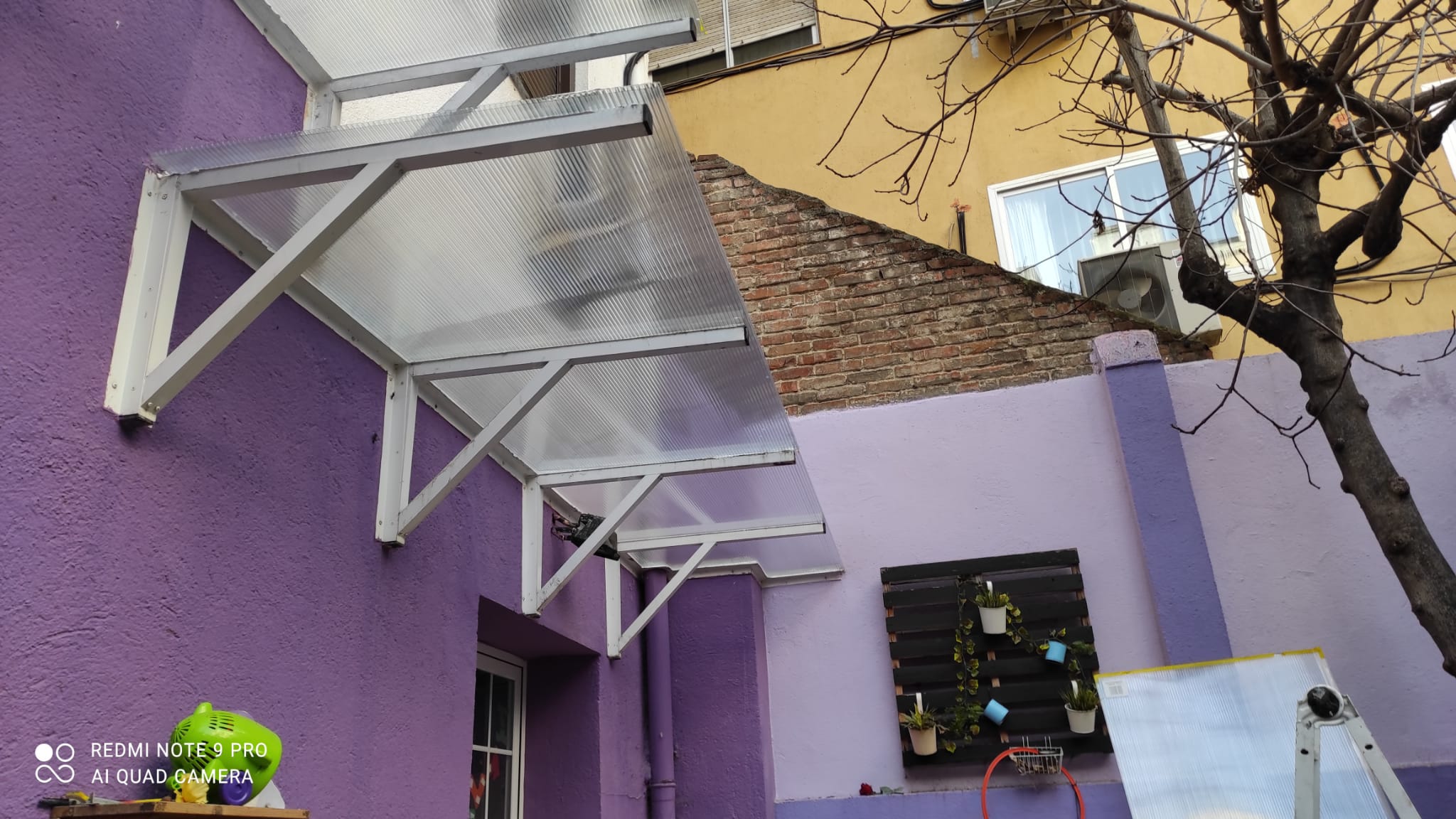 whatsapp image 2021 08 13 at 08.07.13