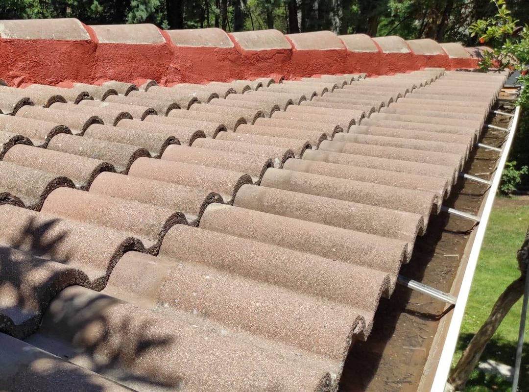 whatsapp image 2021 08 13 at 08.07.14 3 e1634759496146