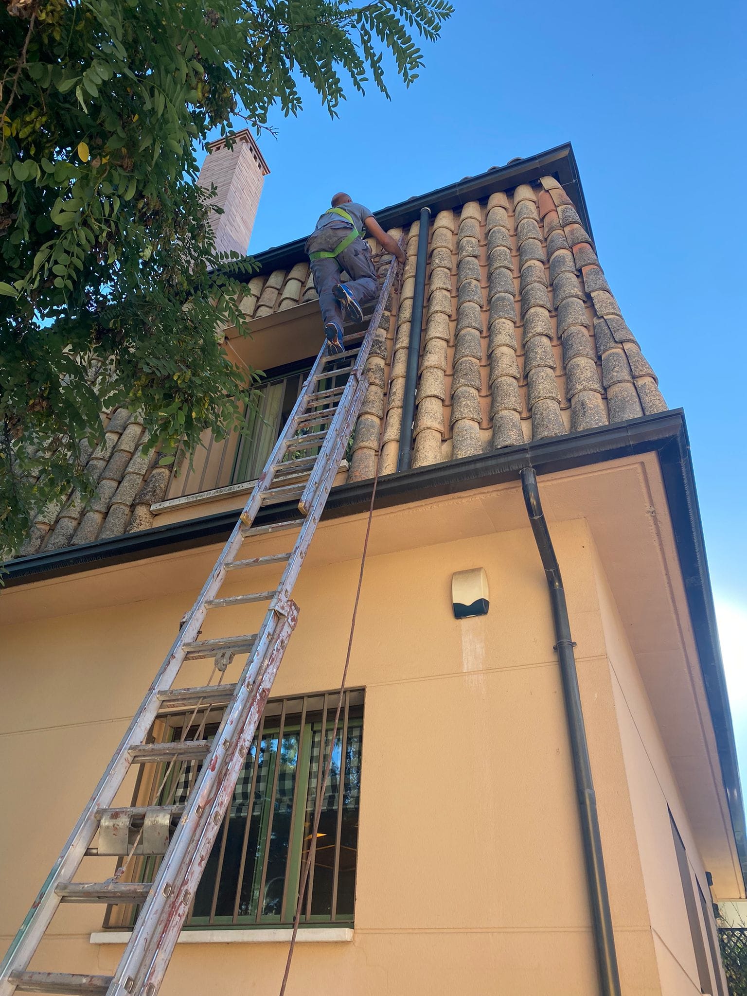 whatsapp image 2021 08 13 at 08.07.20 2